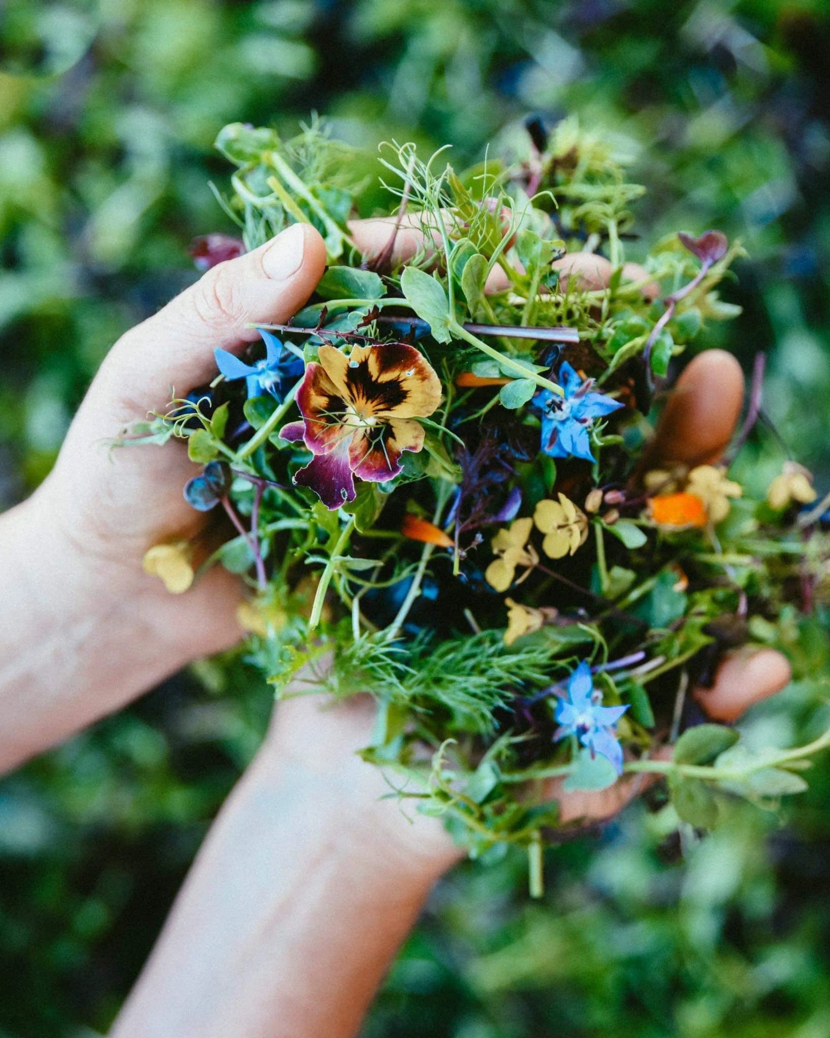 Produce grown in the Toad Hall market garden