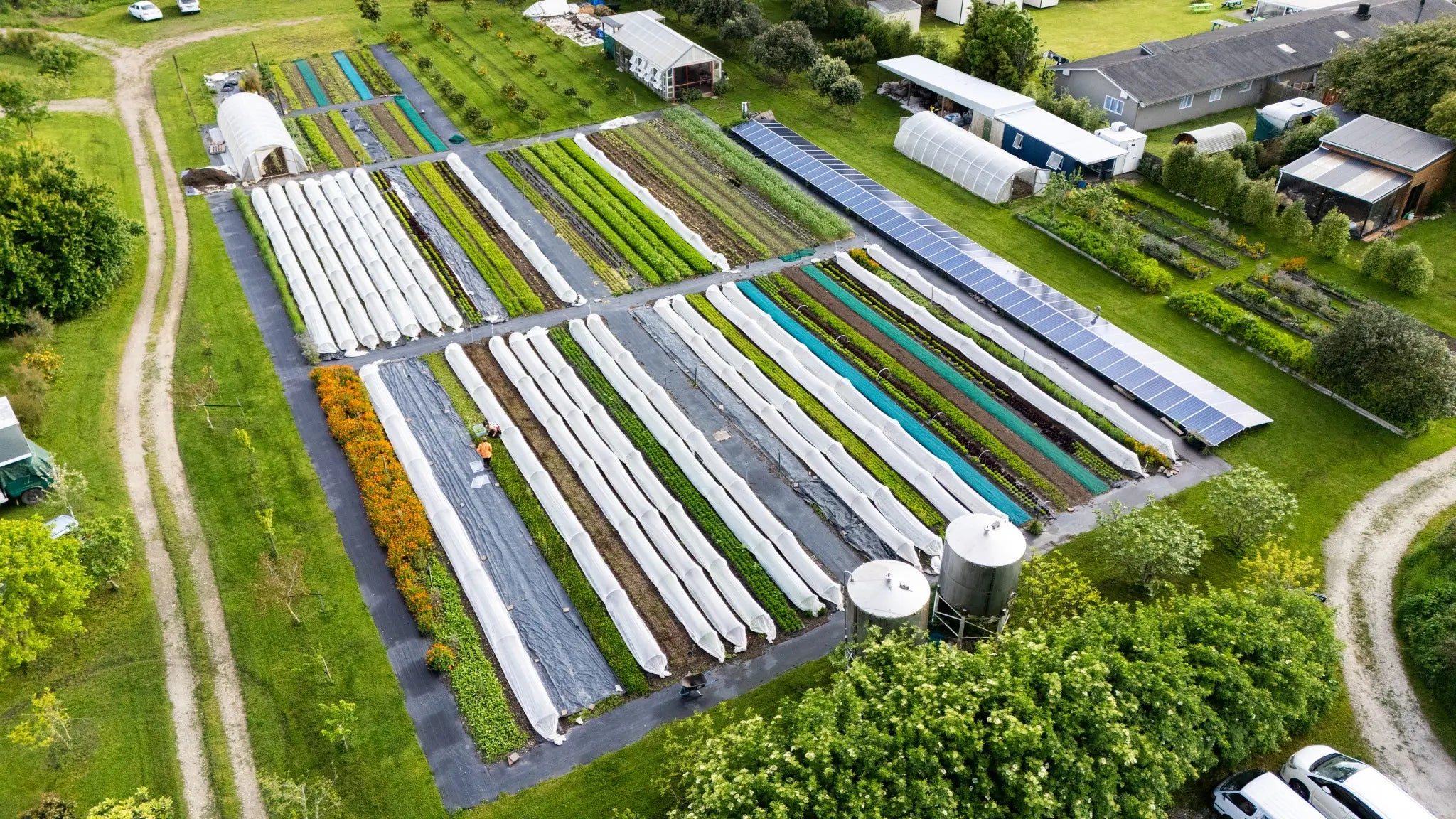 Aerial view of the Toad Hall market garden